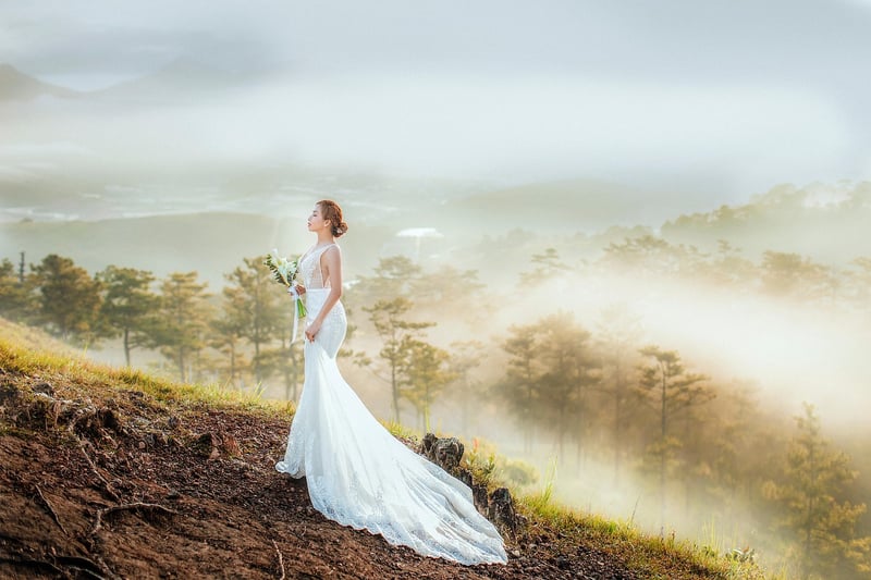Forest Fairy Tale